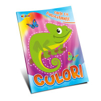 Carte cu autocolante. Culori